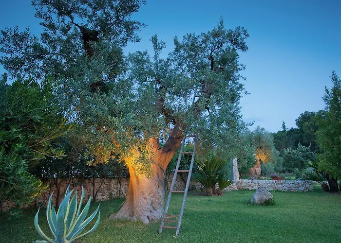 玫瑰农场28号住宿加早餐旅馆